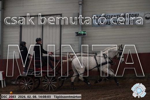 Mintakép 20260208-333