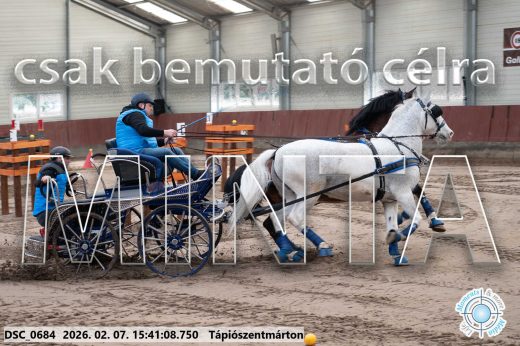Mintakép 20260207-223