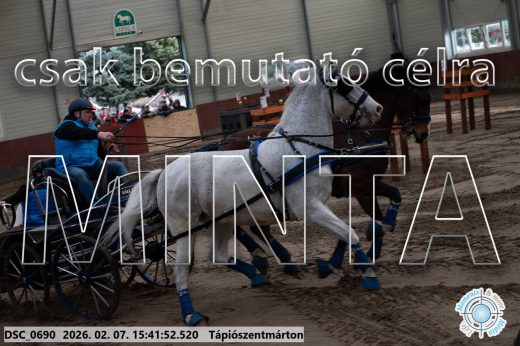 Mintakép 20260207-229
