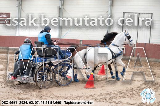 Mintakép 20260207-230