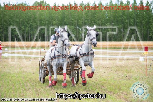 Mintakép 20260613-550