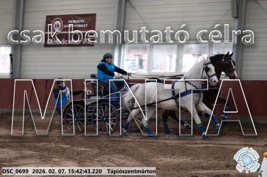 Mintakép 20260207-236