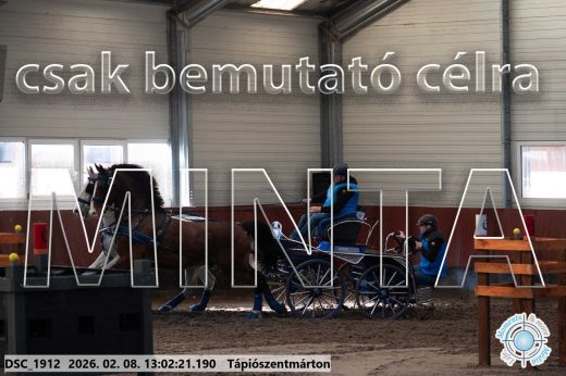 Mintakép 20260208-334