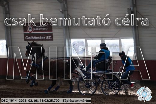 Mintakép 20260208-336