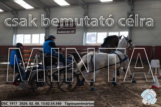 Mintakép 20260208-339