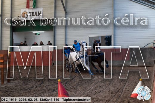 Mintakép 20260208-341