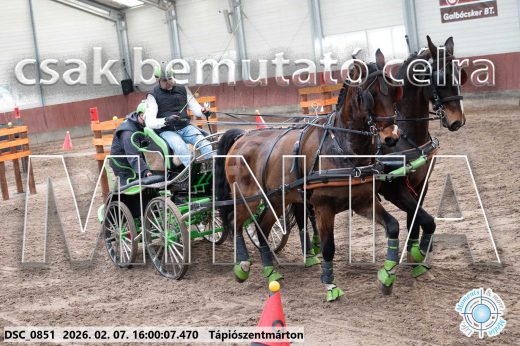20260207-160007-DSC_0851.jpg