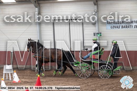 Mintakép 20260207-242
