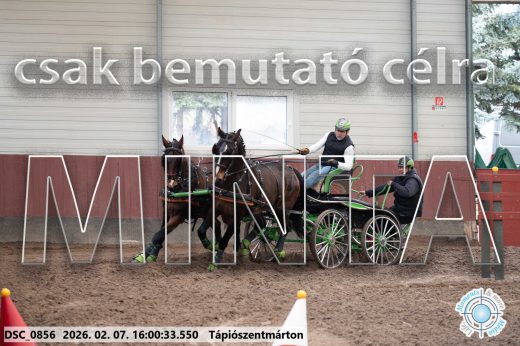 Mintakép 20260207-244