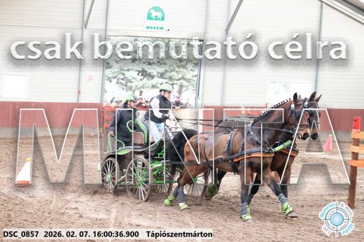 Mintakép 20260207-245
