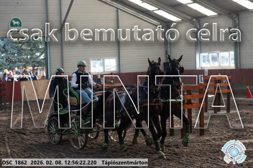 Mintakép 20260208-351