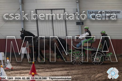 Mintakép 20260208-354