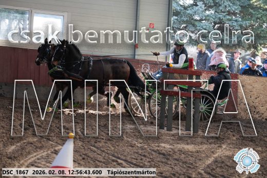 Mintakép 20260208-356