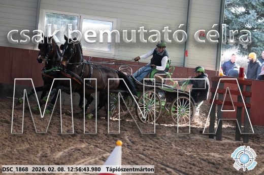 Mintakép 20260208-357