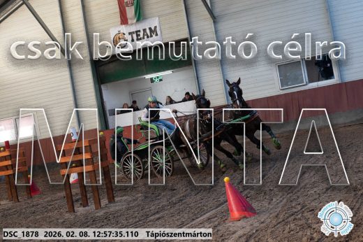 Mintakép 20260208-365