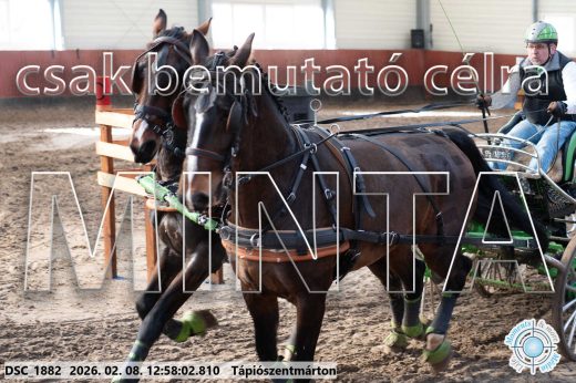 Mintakép 20260208-369