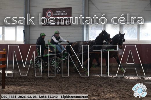 Mintakép 20260208-371