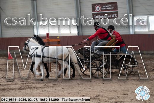 20260207-105014-DSC_9516.jpg