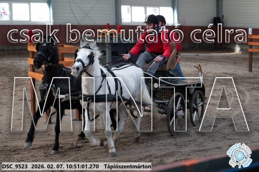 Mintakép 20260207-274