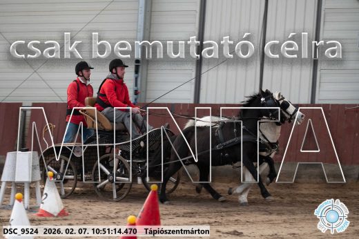 Mintakép 20260207-275