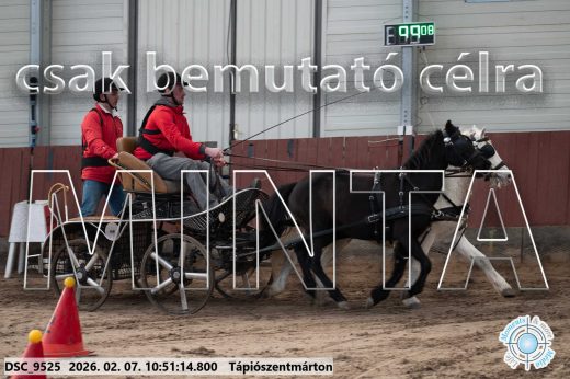 Mintakép 20260207-276