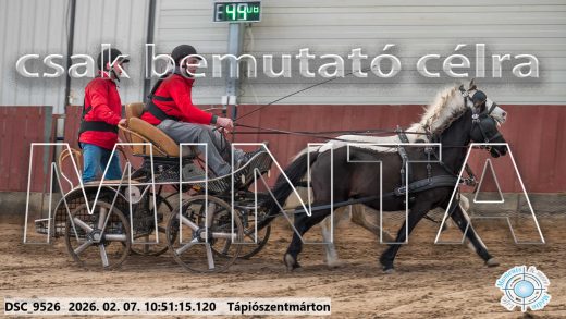 Mintakép 20260207-277
