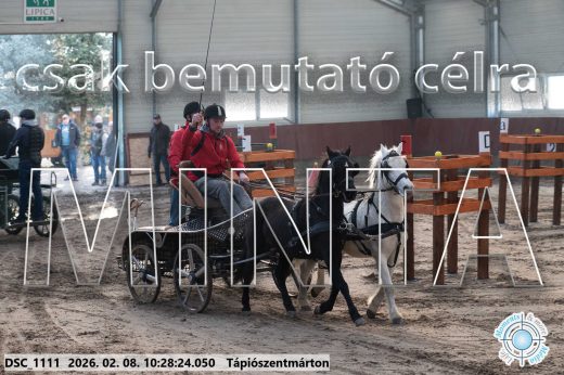 Mintakép 20260208-373