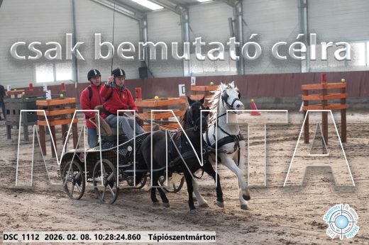 Mintakép 20260208-374