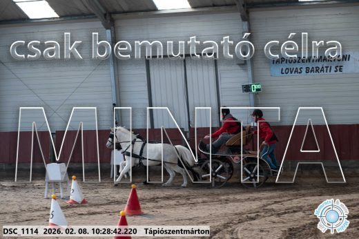 Mintakép 20260208-376