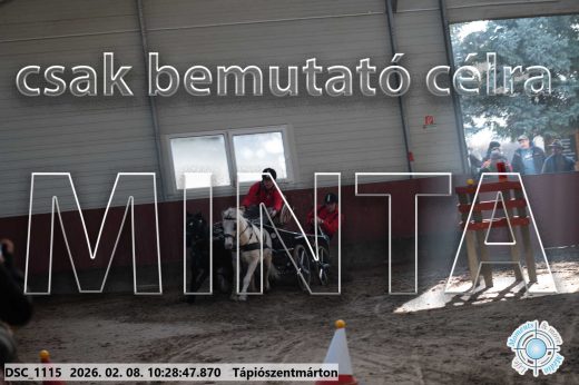 Mintakép 20260208-377
