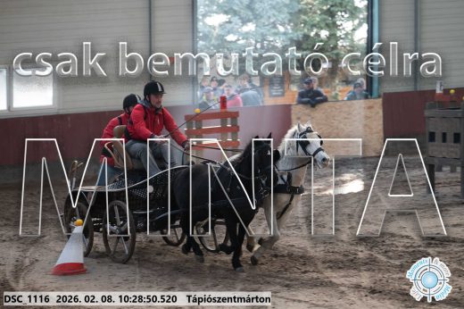 Mintakép 20260208-378