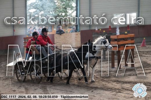 Mintakép 20260208-379