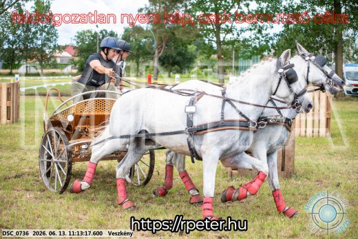 Mintakép 20260613-559