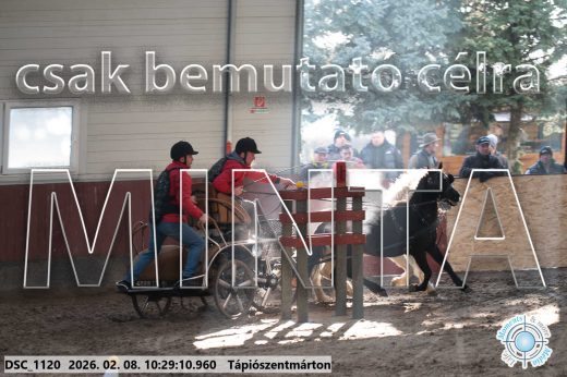 Mintakép 20260208-382