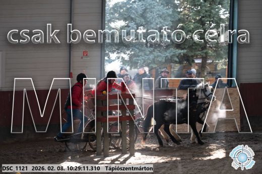 Mintakép 20260208-383