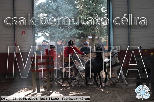 Mintakép 20260208-384