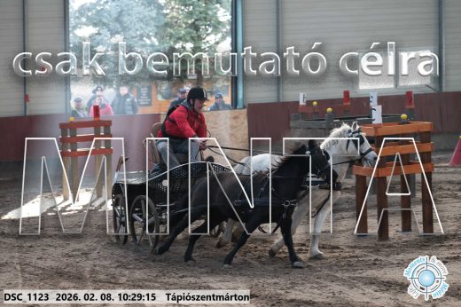 Mintakép 20260208-385