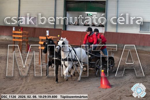 Mintakép 20260208-388