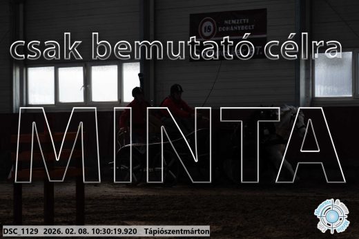 Mintakép 20260208-390