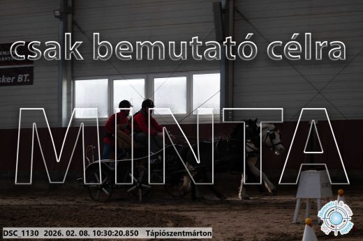 Mintakép 20260208-391