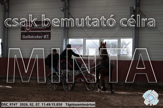 Mintakép 20260207-284