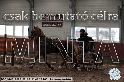 Mintakép 20260207-285