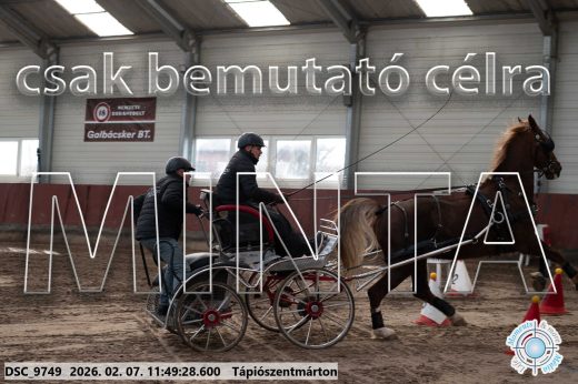 Mintakép 20260207-286