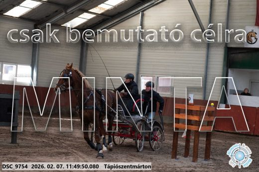 Mintakép 20260207-291