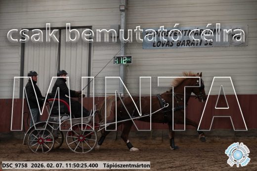 Mintakép 20260207-293
