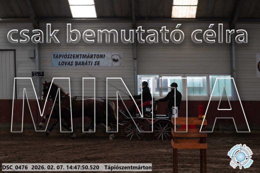 Mintakép 20260207-295