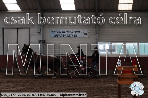 Mintakép 20260207-296