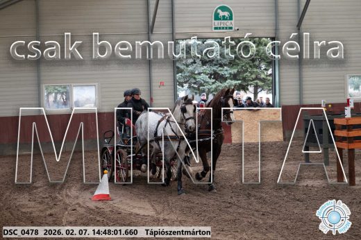 Mintakép 20260207-297