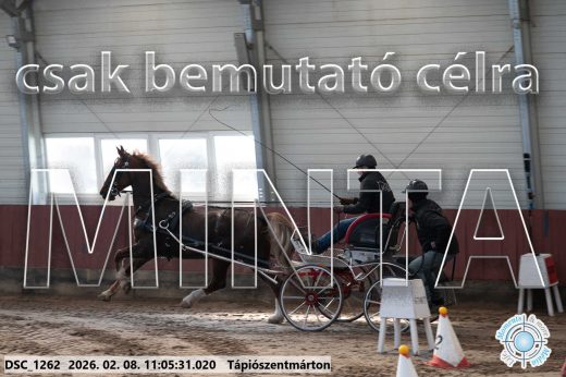 Mintakép 20260208-395