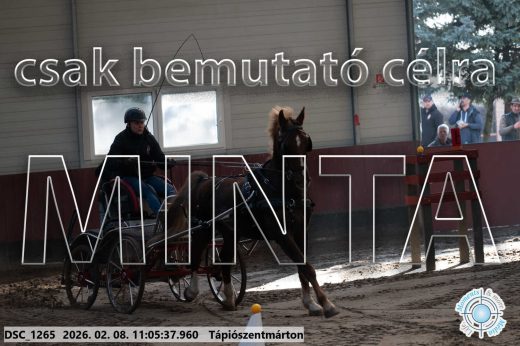 Mintakép 20260208-397